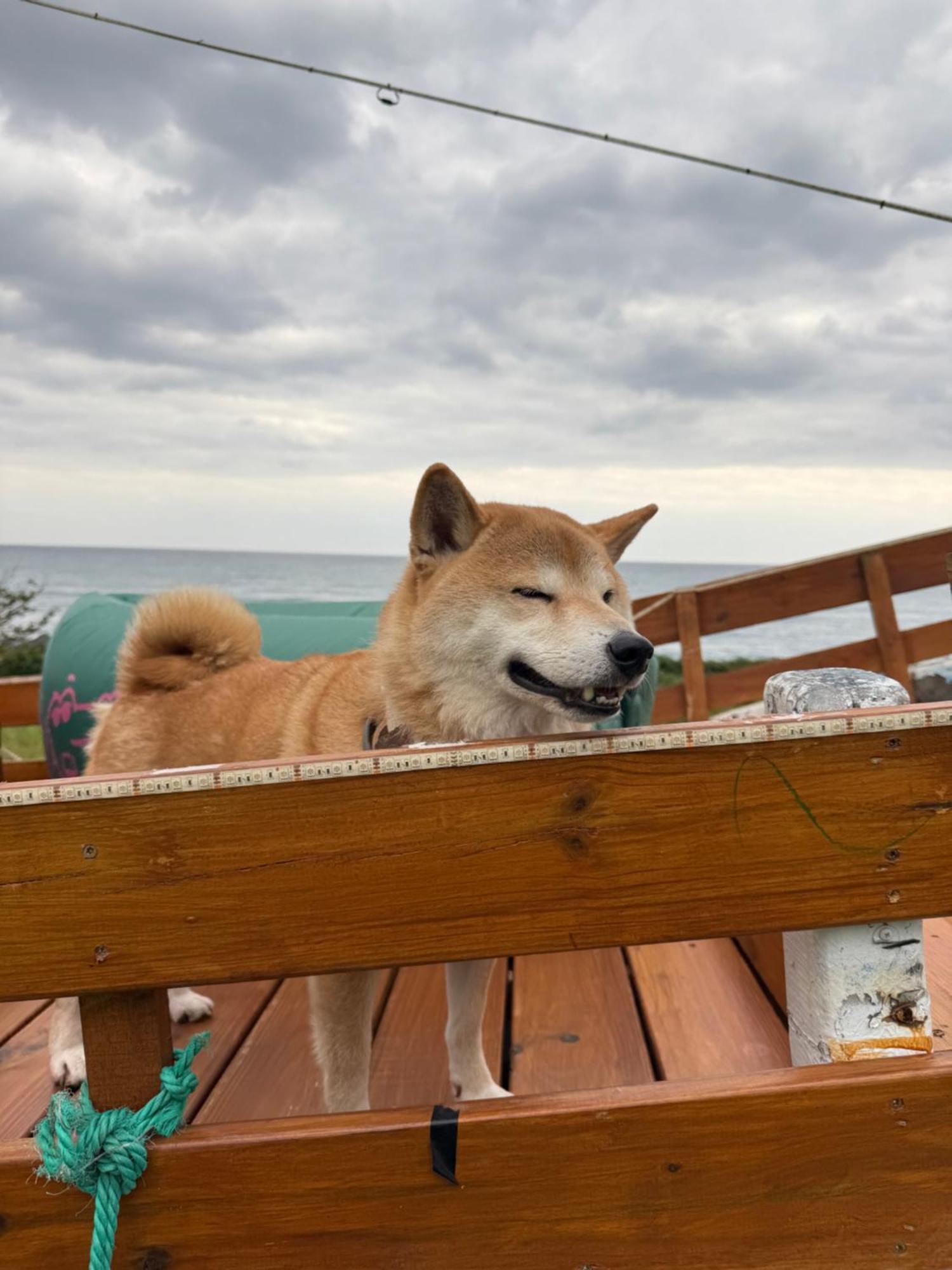 Sea-Hi B&B Yanliau Dış mekan fotoğraf